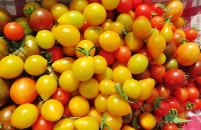 arcadia insta heirloom tomatoes.jpg 89 (2)